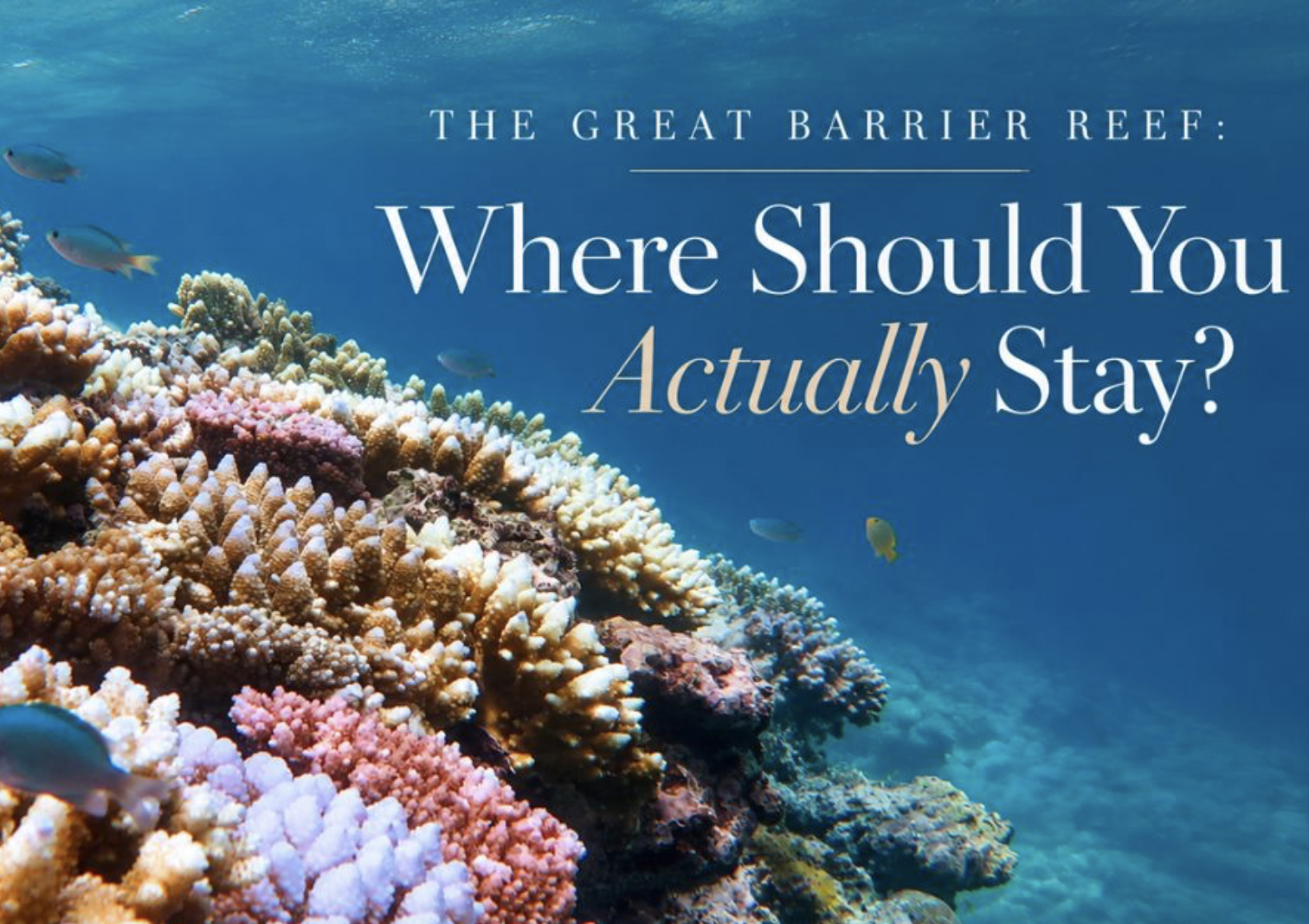The Great Barrier Reef: Where Should You Actually Stay?